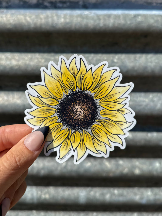 Sunflower
