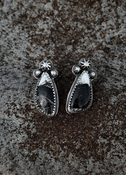 Stardust Studs